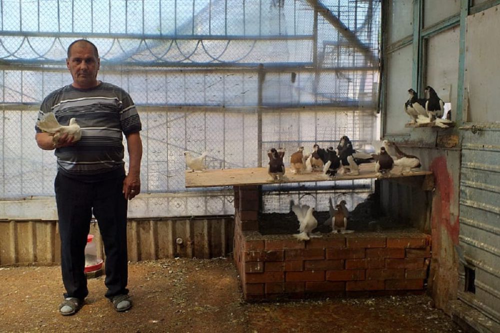 Sırek kezdesetin qustar ósirýmen aınalysatyn kásipker