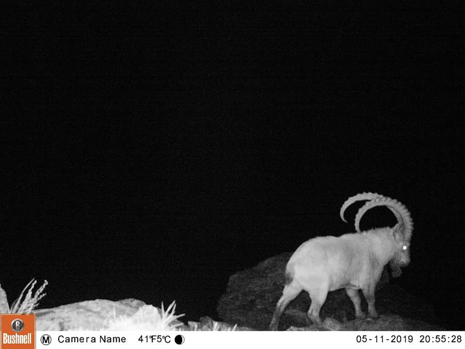 Katonqaraǵaı memlekettik ulttyq tabıǵı parkinde fotoqaqpanǵa túsken sýretter jarııalandy