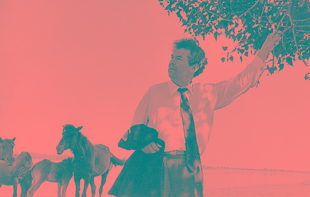 Ulylar ultqa bólinbeıdi