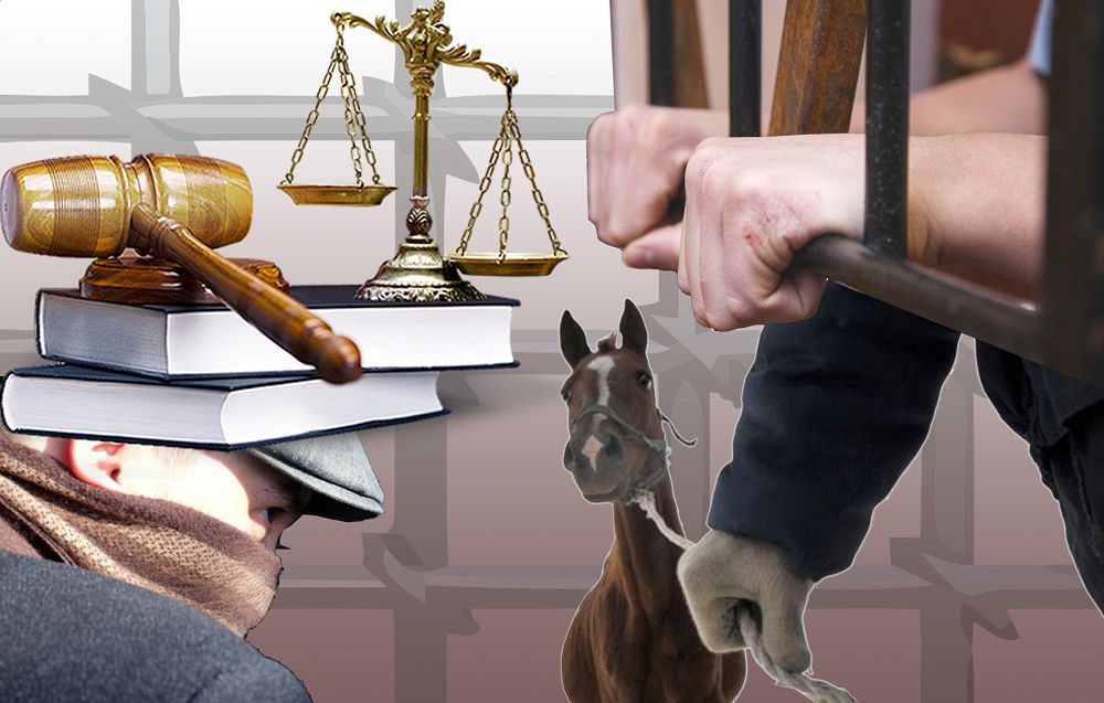 Mal urlaǵan qylmystyq top sottaldy