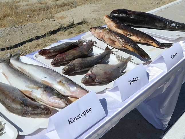 Qyzylorda oblysynda V Balyqshylar sleti ótti