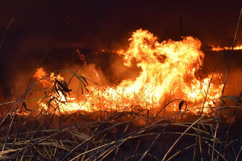 Jambyl oblysynda astyq alqaby janyp jatyr