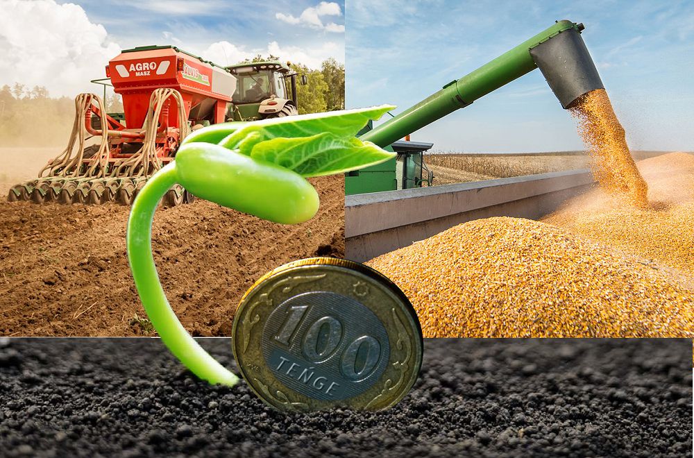 Memlekettik qoldaýdy tıimdi paıdalanaıyq