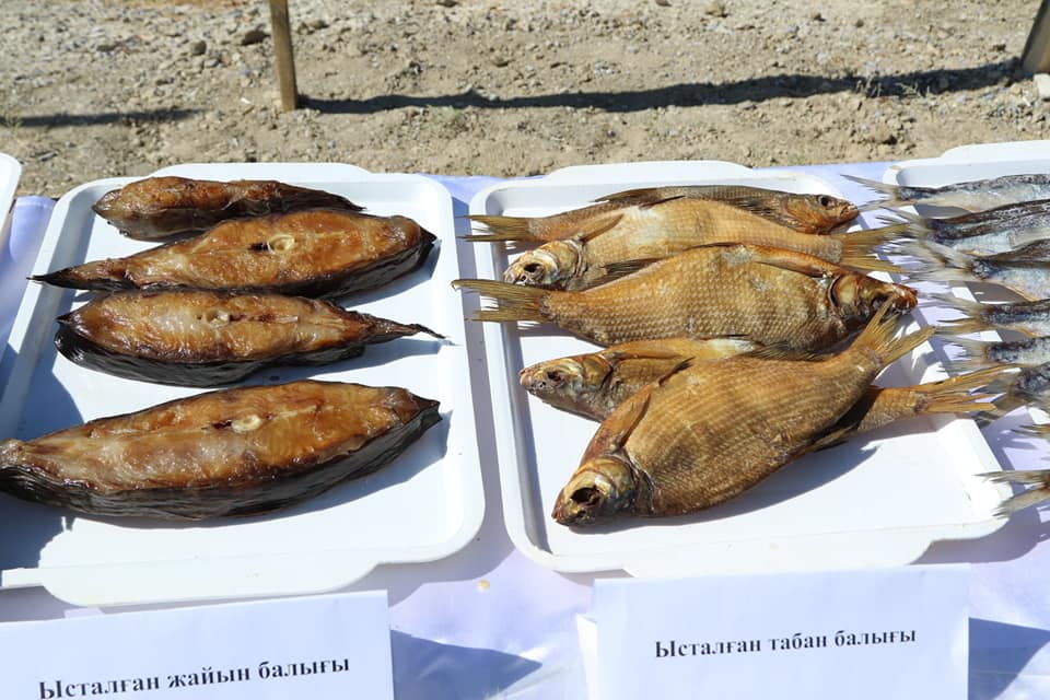 Qyzylorda oblysynda balyq ónimderiniń eksport kólemi 9 esege artty