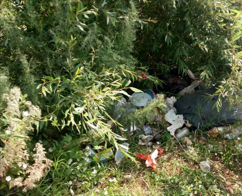 Mınıstr Birge, TazaQazaqstan ekologııalyq aksııasyn bastady