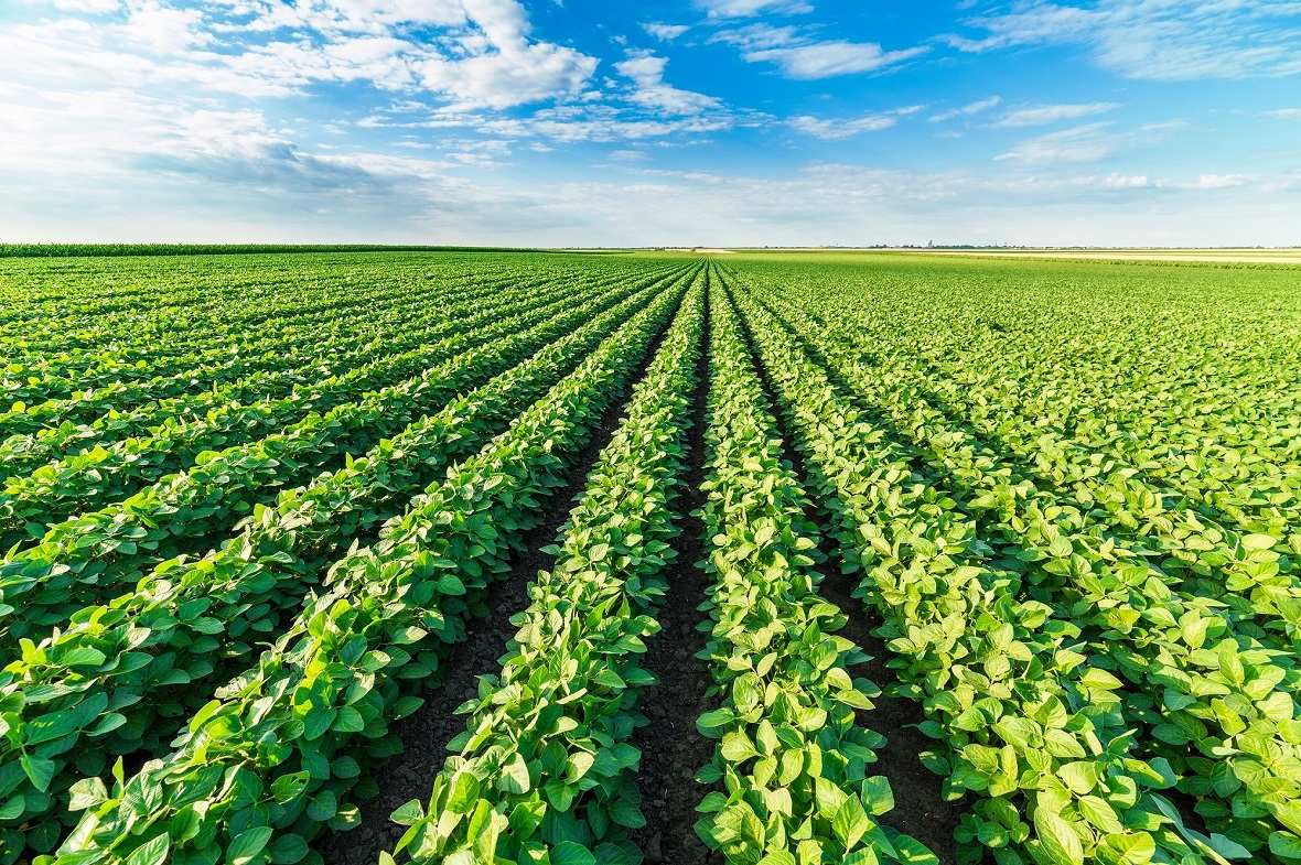 Sýbsıdııanyń kómegi zor, biraq áýresi kóp