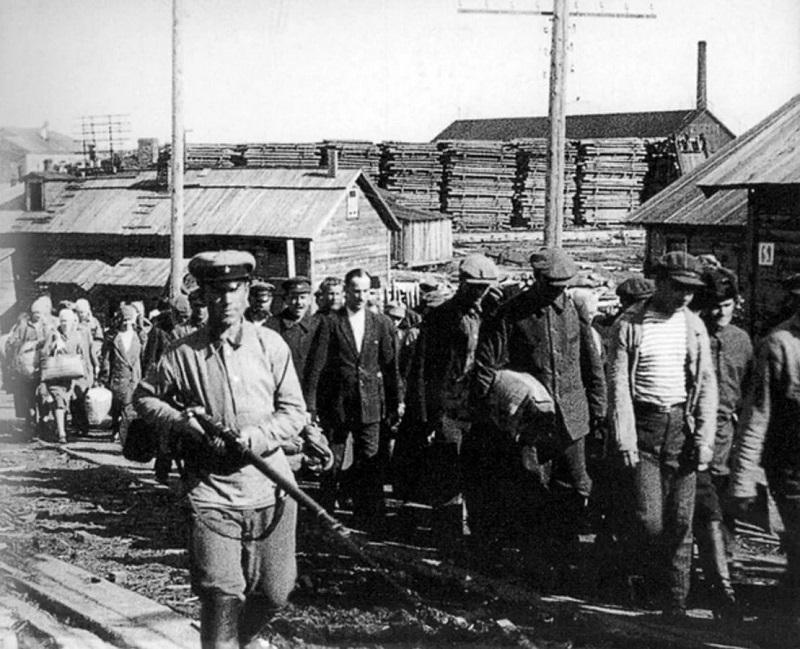 Qyzyl qyrǵyn qurbandary