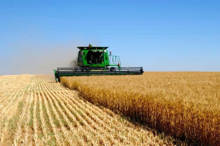 Soltústik Qazaqstan-Qytaı arasyndaǵy birlesken joba