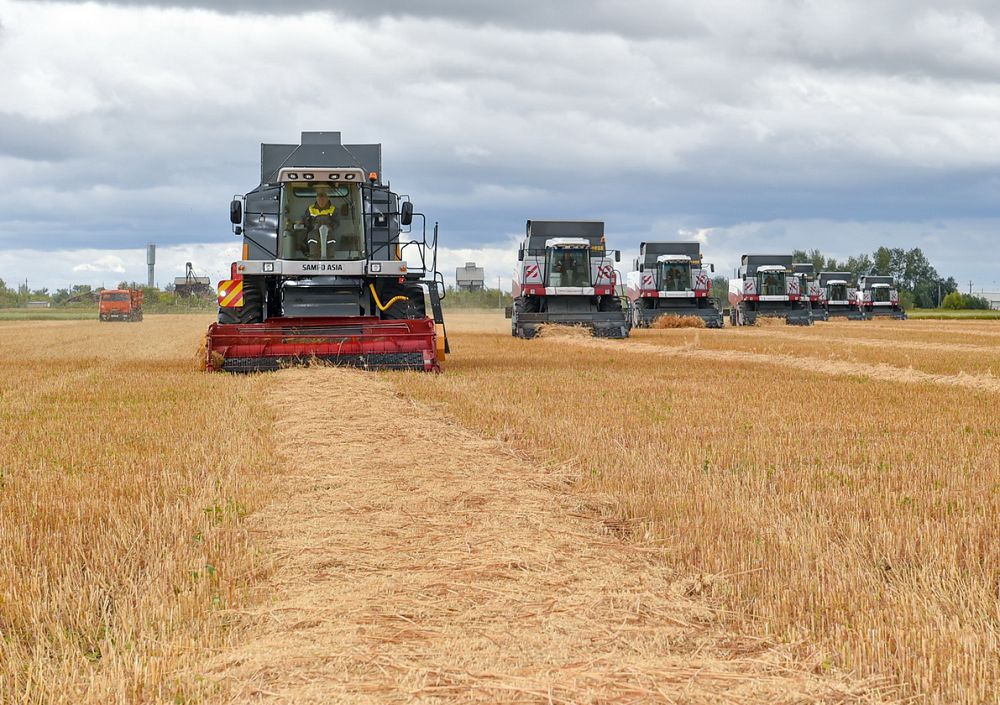 Agrosektor ǵylymmen ushtasqanda ǵana damıdy