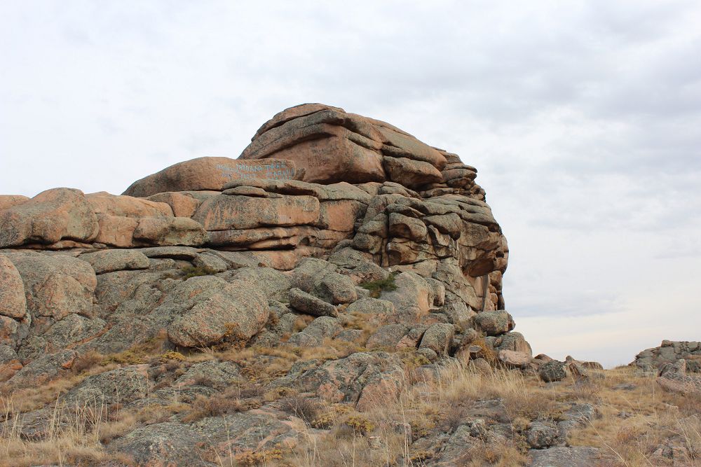«Kókiregime kóshken Qalmaqqyrylǵan, Aqshıman»