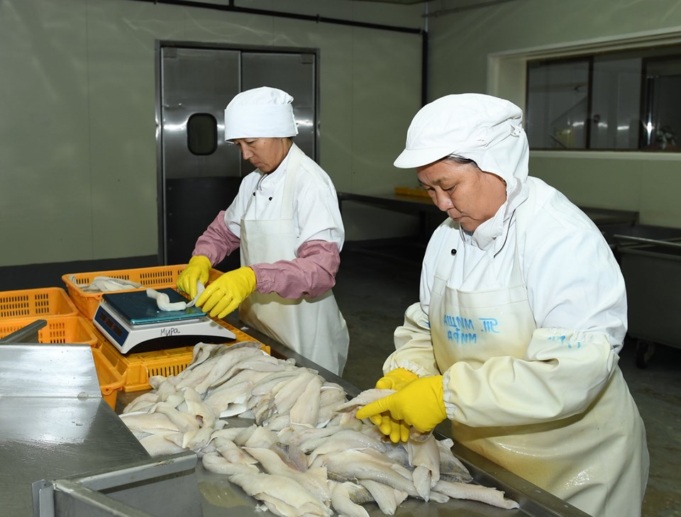 Balyq óńdeıtin kásiporyndar kóbeıip keledi