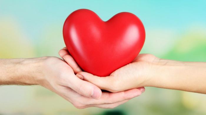 Ǵalymdar adam aǵzasynan júrekti emdeı alatyn jasýsha tapty