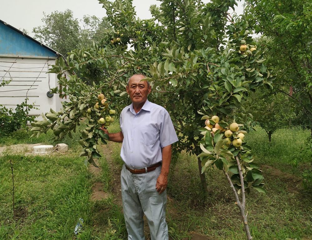 Qumda jaıqalǵan baq