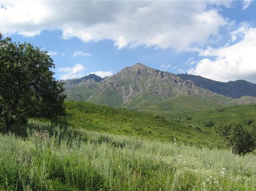 Ulttyq parkke japon ǵalymdary keldi