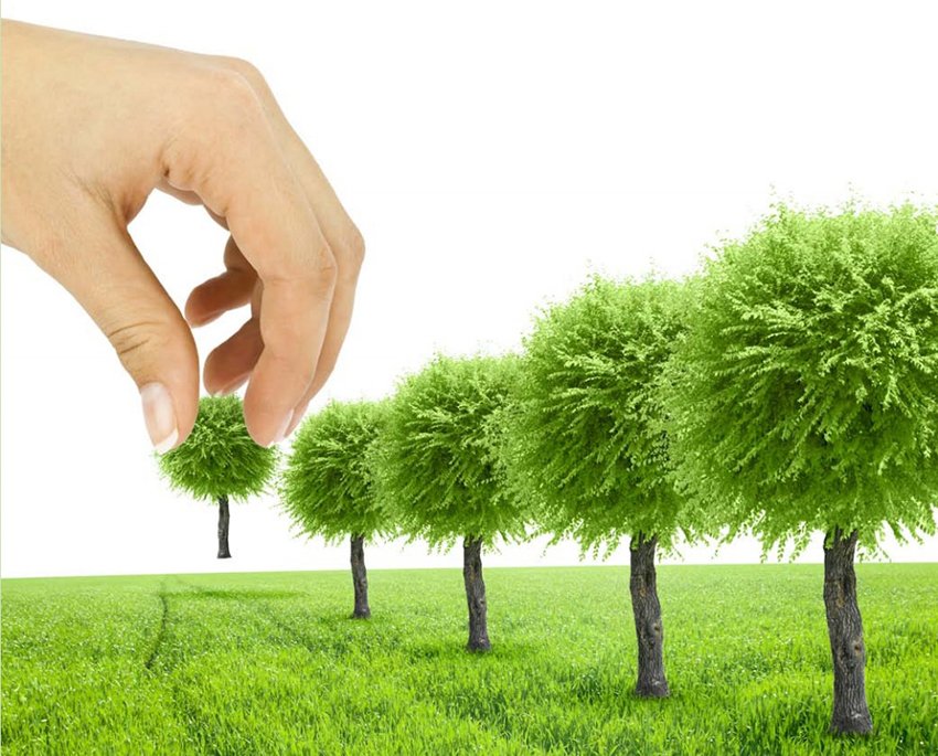 54 myń aǵash apatty jaǵdaıda