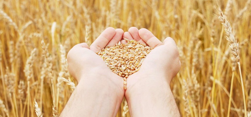 Tájikstanǵa eksport kólemi artady