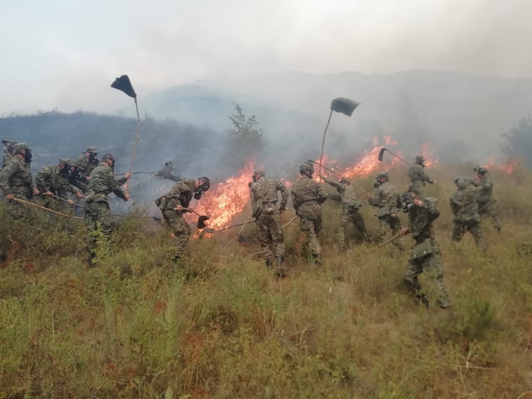 Ulttyq ulan alapat órttiń aldyn aldy