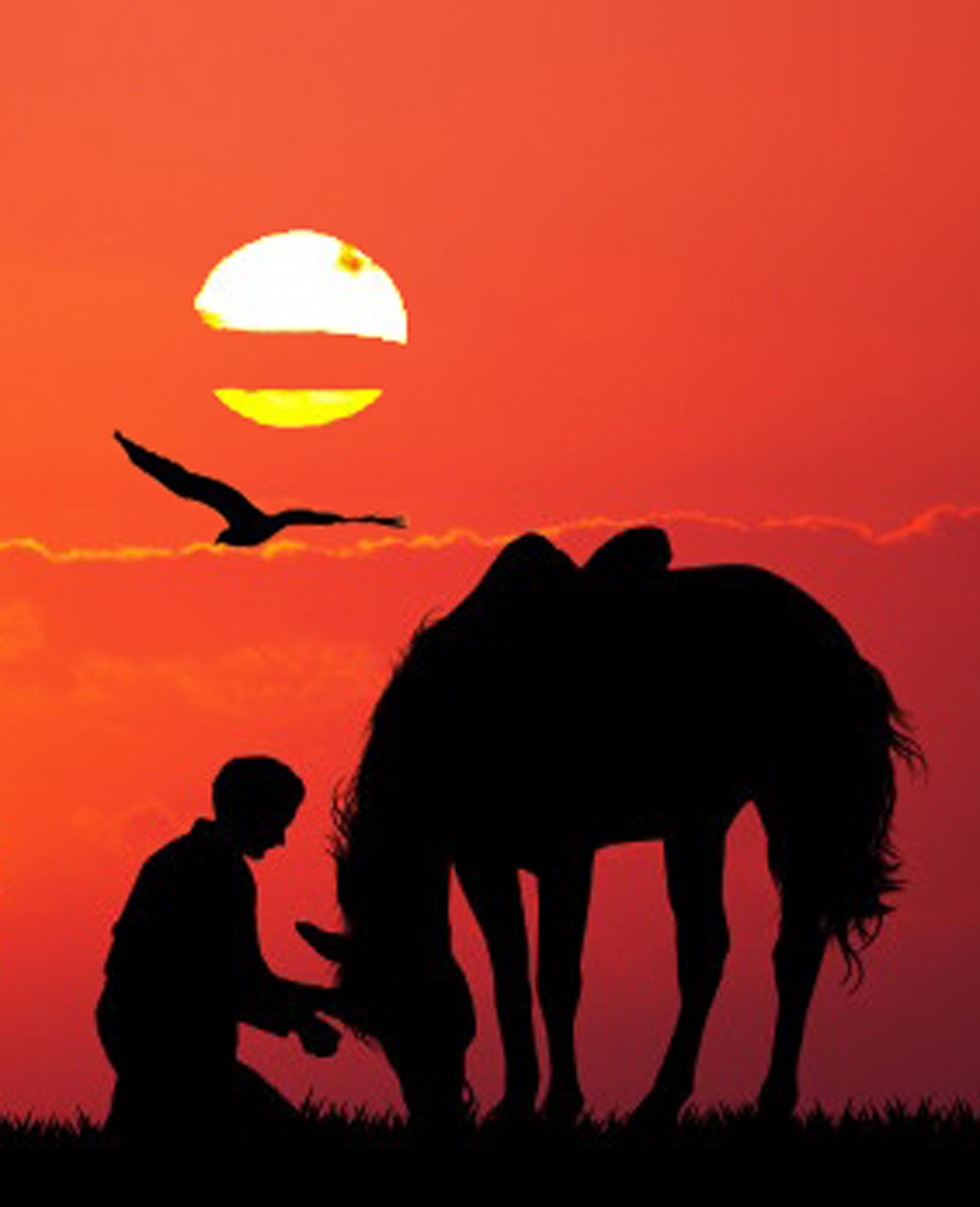 Kók bıeniń kóz jasy