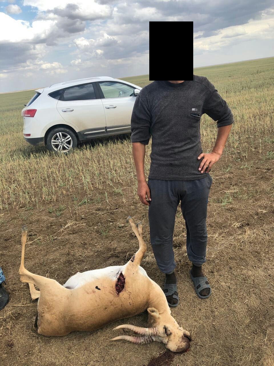 Qostanaıda kıik atqan qaskóıler ustaldy