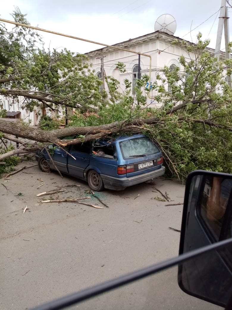 Batys Qazaqstan oblysynda kúshti daýyl soqty