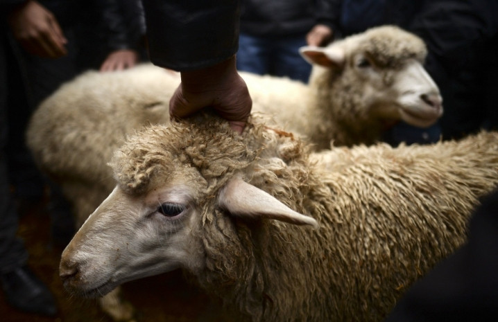 Elordada qurbandyq shalatyn oryndar bekitildi