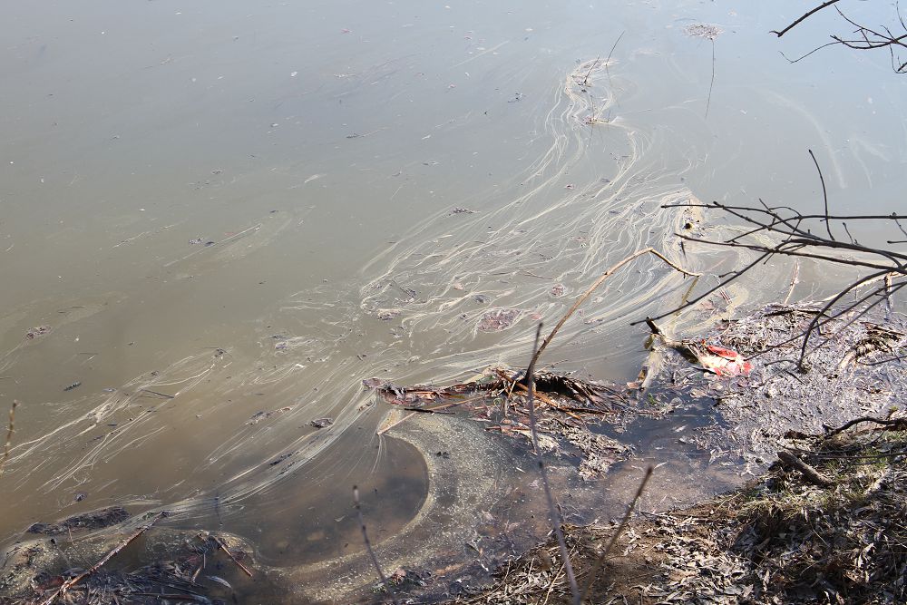 Jaıyq jaǵasyndaǵy jaýapsyzdyq