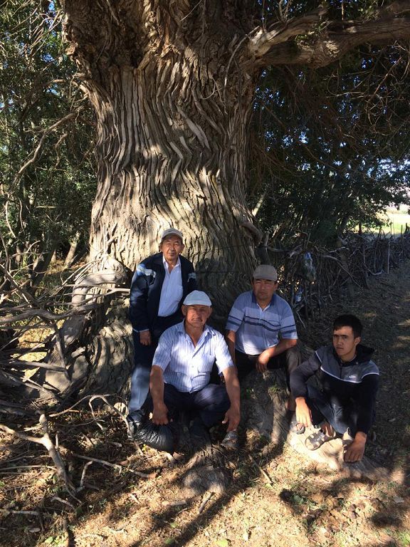 Balyqshy áýlıe basynda