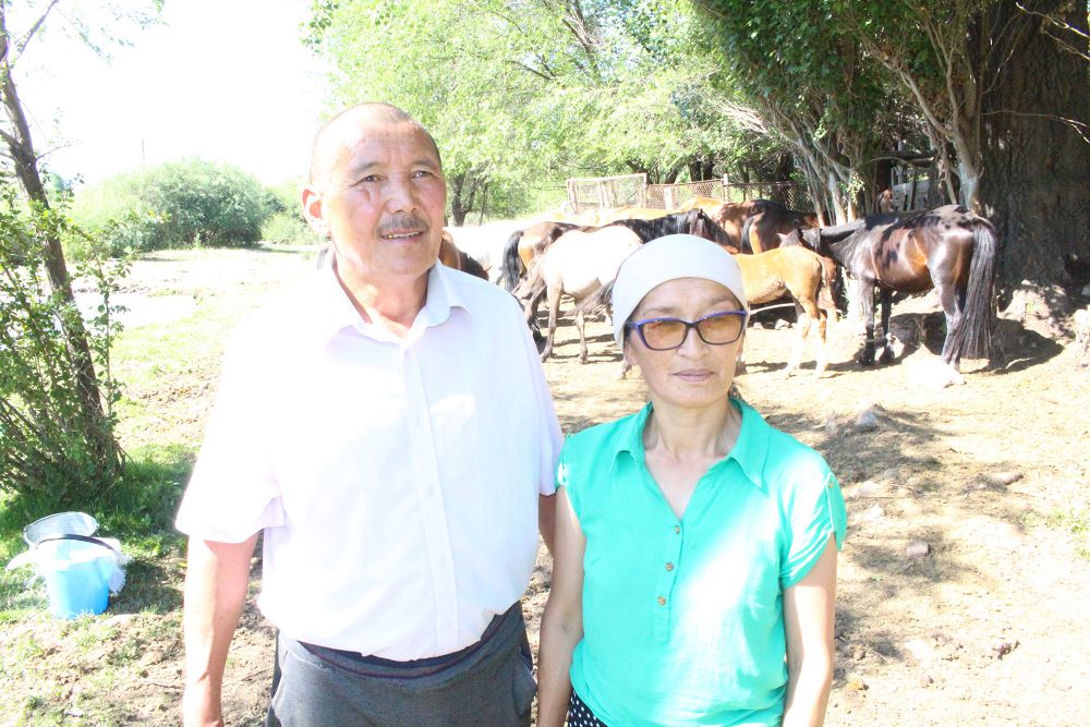 Saf tabıǵattaǵy saýmal terapııasy