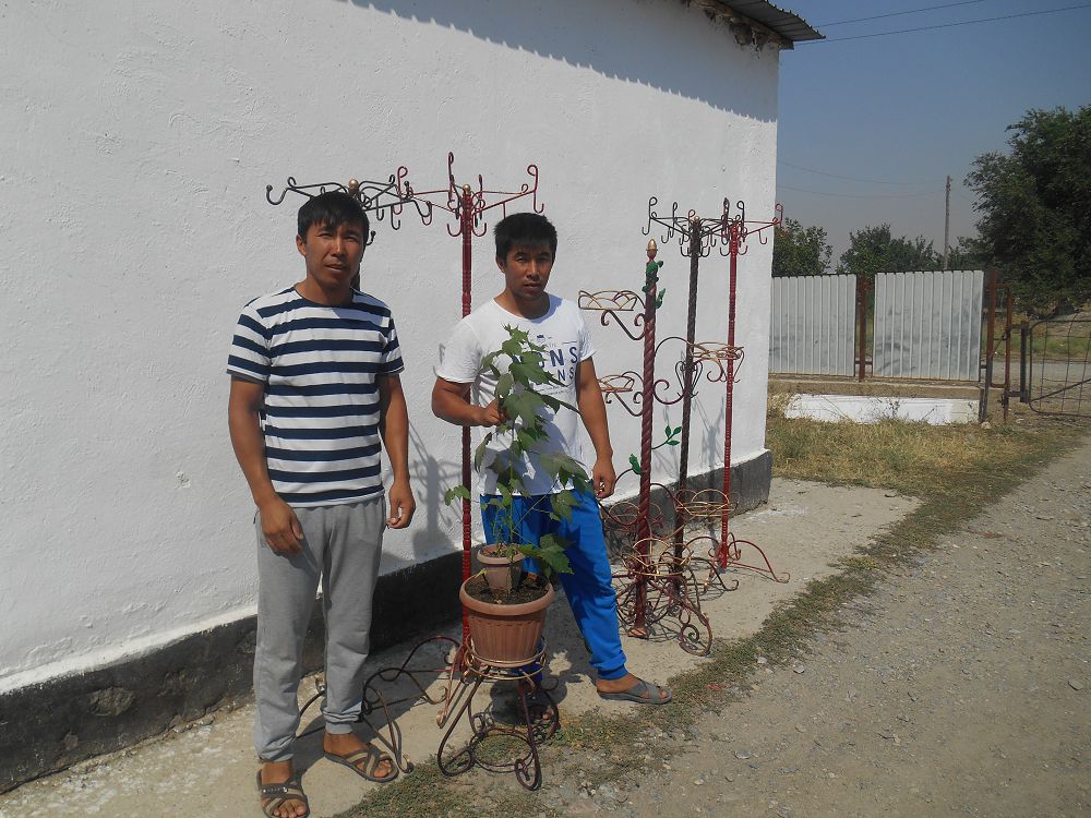 Temirden túıin túıgen sheberler