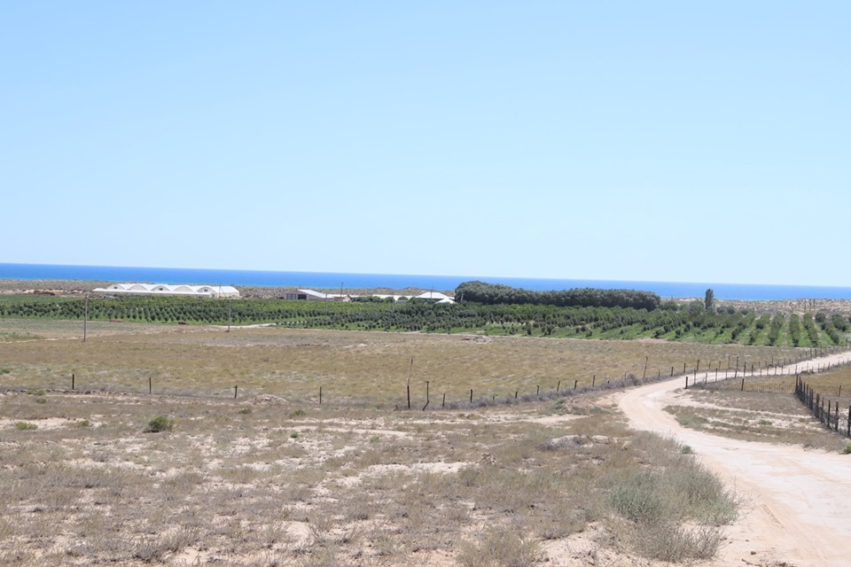 Mańǵystaýda aımaq basshysy aýyl sharýashylyǵy nysandaryn aralady