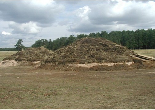 «Botaı» mýzeı-qoryǵynyń qurylǵanyna bir jyl toldy