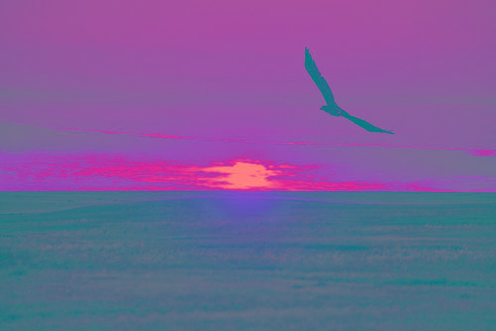 Uly dalanyń tilde órilgen tarıhy