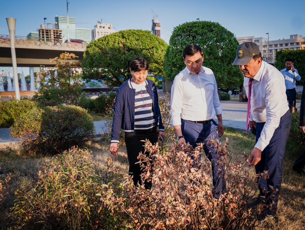 Elorda ákimi ósimdikteri qýrap jatqan birneshe saıabaqqa bardy