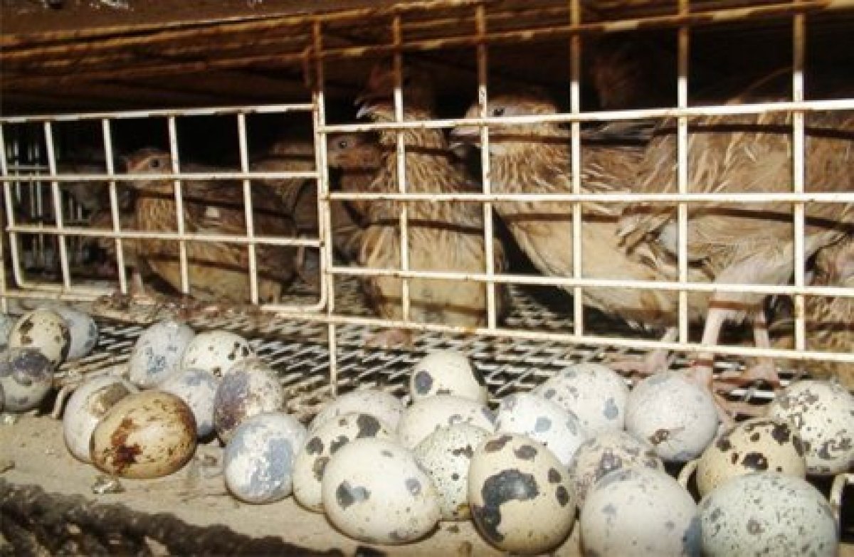 Jeke kásipti bastaýdyń joly bar