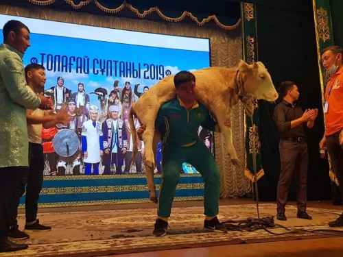 120 keli tartatyn torpaq kóterdi