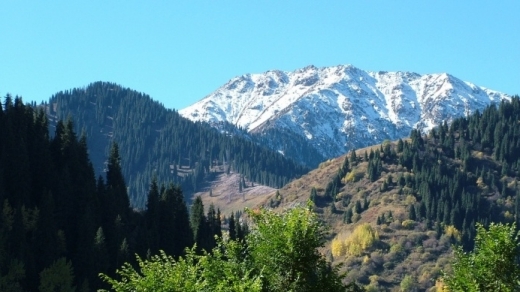 Almaty taýynda adasyp ketken tórt týrıst qutqaryldy