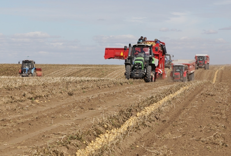 Qaraǵandy oblysynda astyq jınaý naýqany bastaldy