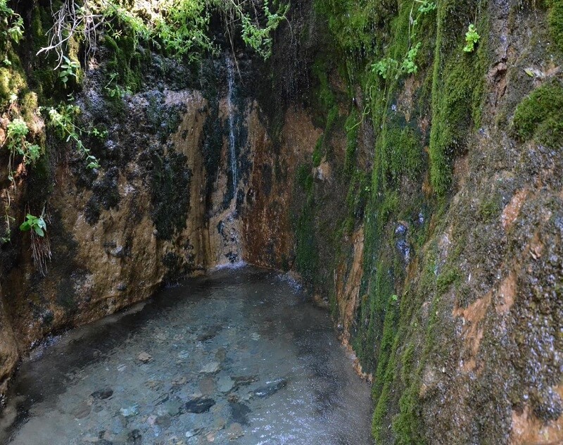 Qapaldyń Tamshybulaǵy aǵylshyn eline qalaı tanyldy?