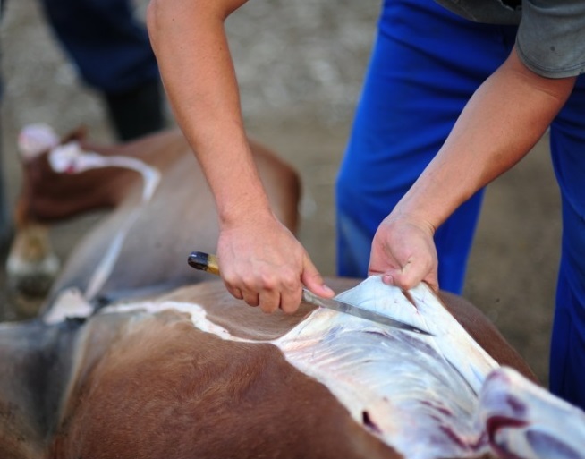 Qurymnyń quny qalmady