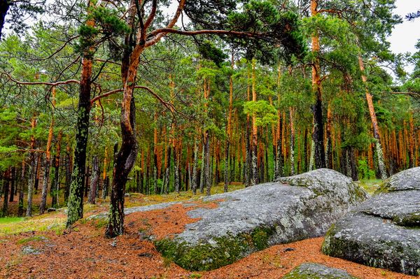 Shalqar-Imantaý kýrorttyq aımaǵyna 6 jylda 23 mlrd teńge baǵyttalady