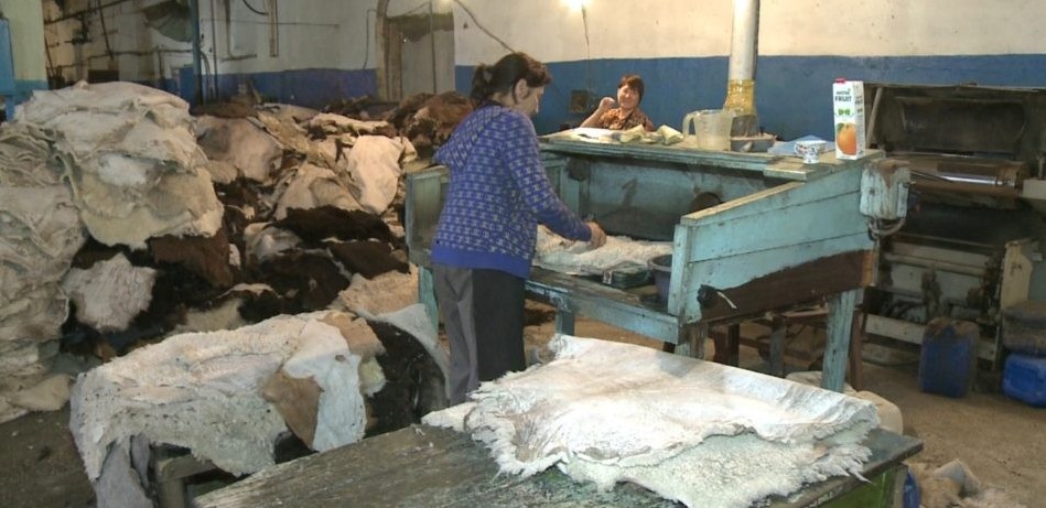 Teri ılep, jún tútýdiń sheberi edik