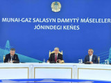 Memleket basshysy munaı-gaz salasyn damytý máseleleri jóninde keńeıtilgen keńes ótkizdi