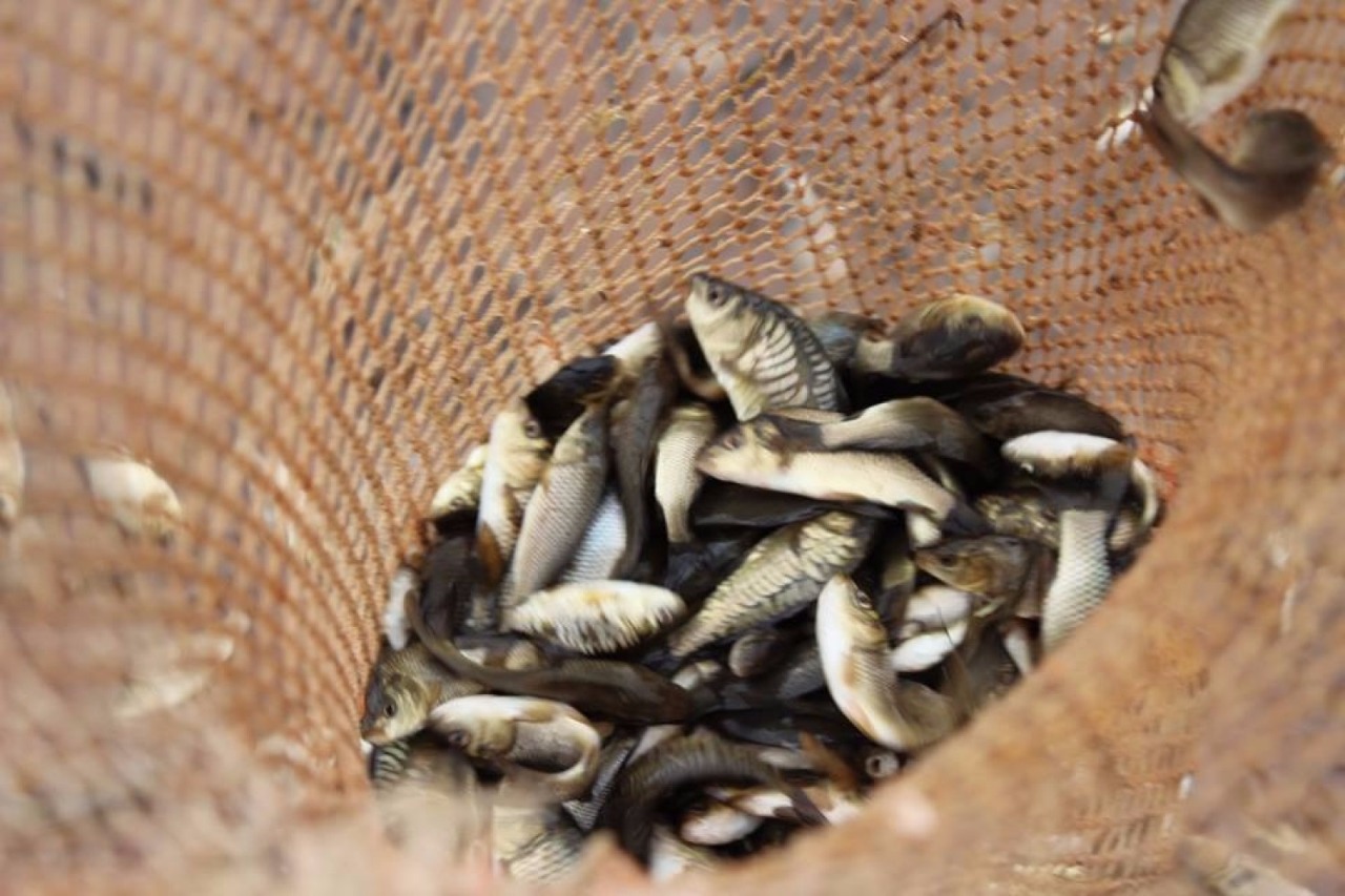 О́zen jaǵalaǵannyń ózegi talmaıdy