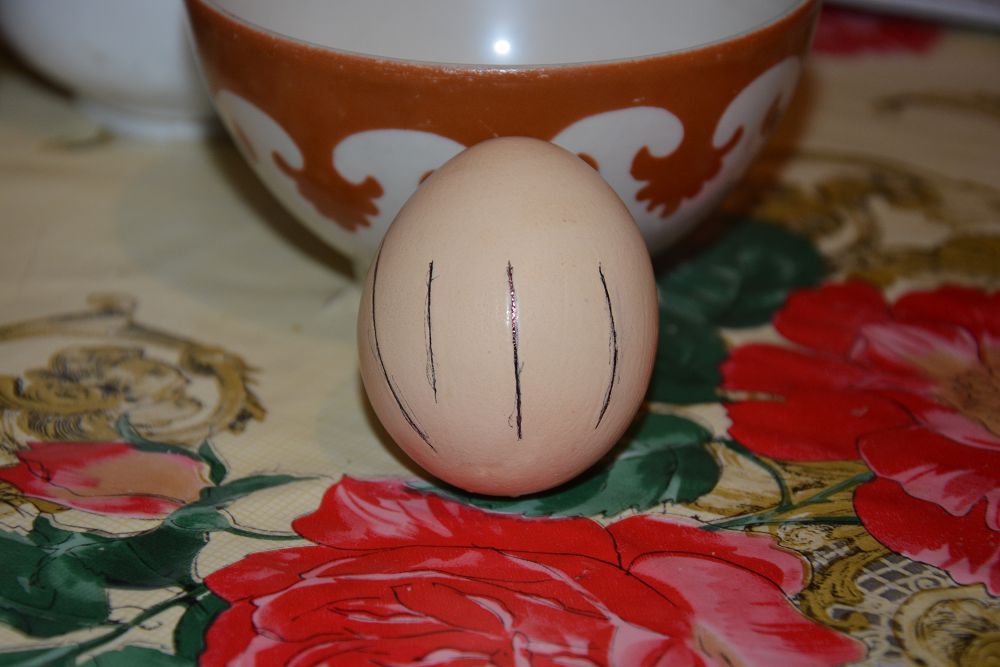 Jazýy bar  jumyrtqa