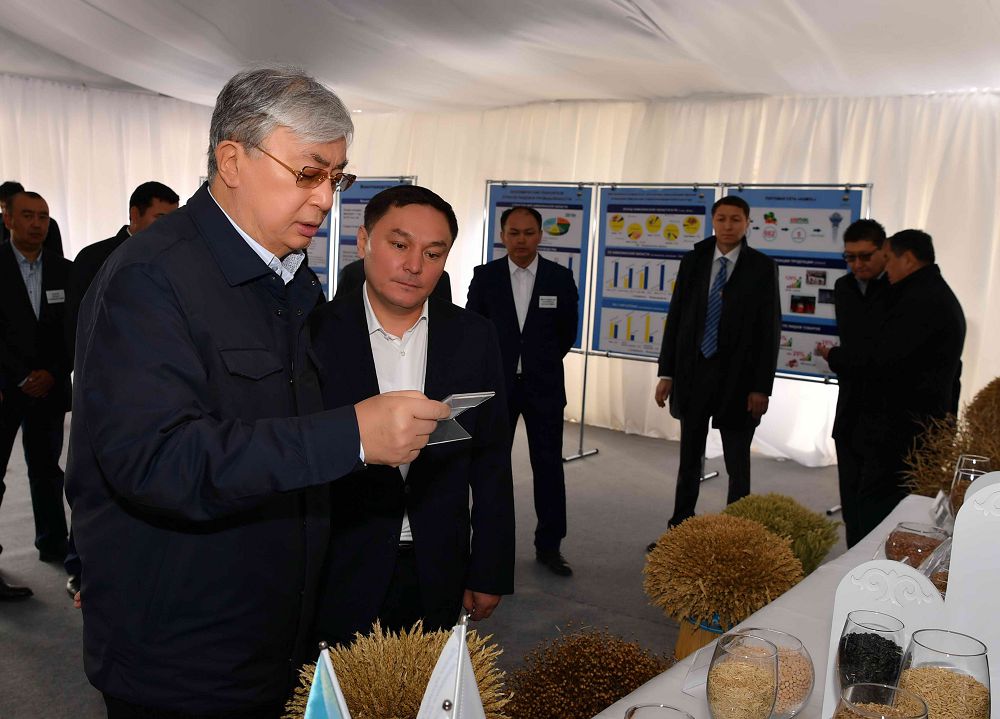 Qasym-Jomart Toqaev «Aıbat» JShS-niń egistik alqaptaryn aralap kórdi