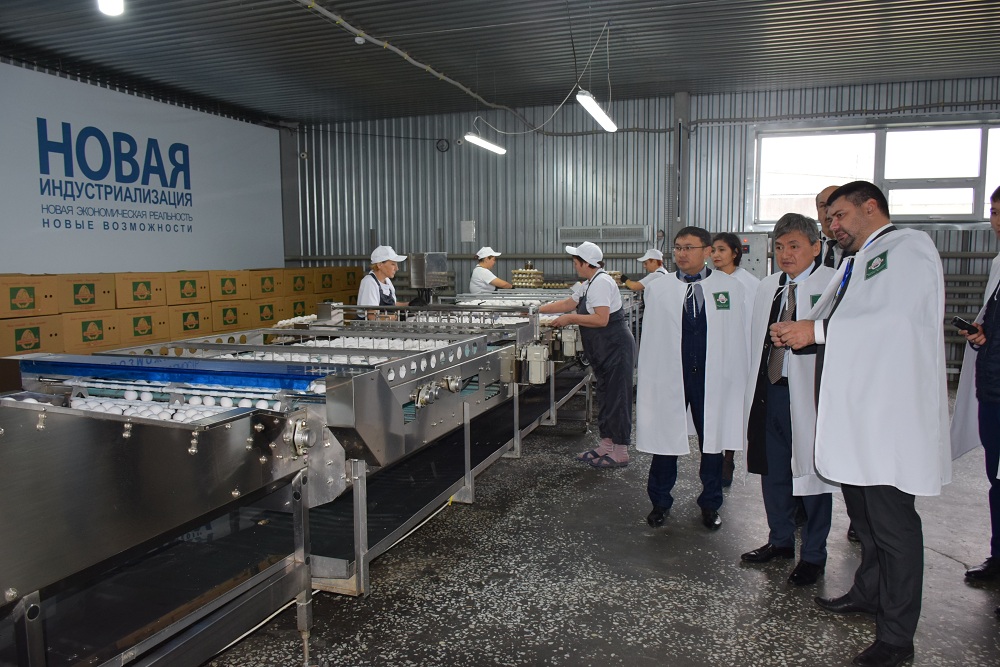 Rýdnyıda nurotandyqtar memlekettik baǵdarlamalardyń iske asyrylý barysymen tanysty