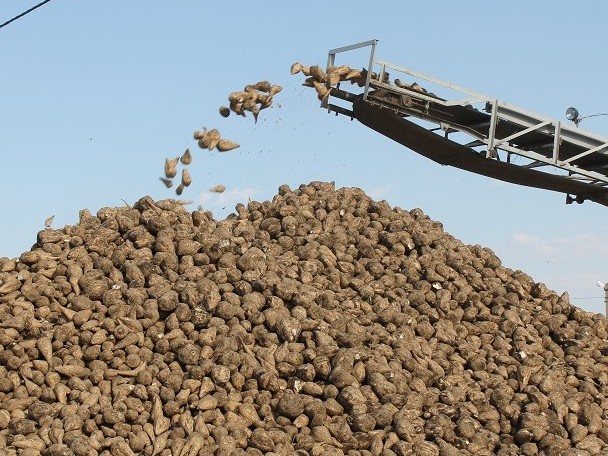 Qant zaýyttary qyzylsha qabyldaýdy bastady