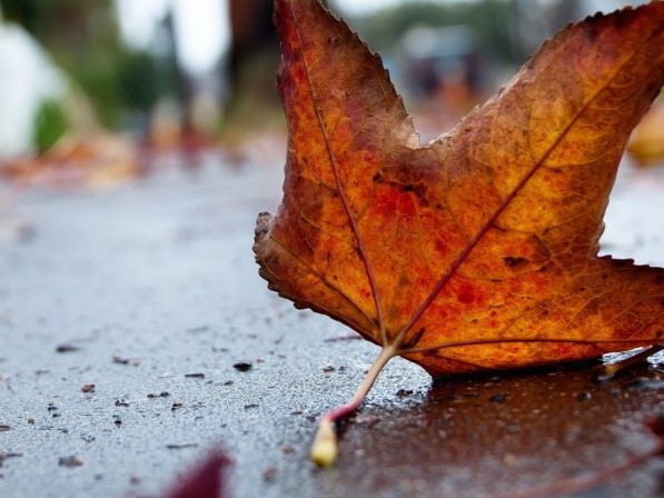 Búgin aýa raıy qandaı bolady?