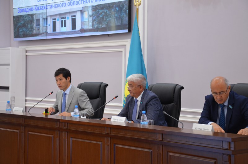 Damý baǵyty aıqyn