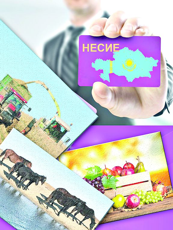 Nesıe seriktestikterin FinTech-ke baǵyttasaq utylmaımyz